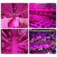 thumbnail image 4 of 8X LED la Luz de Crecimiento Tira de Luz de Crecimiento USB de Espectro Completo de 5 V 2835 Fitolamparas LED para Plantas de Cultivo Hidropónico de Invernadero 100Cm, 4 of 5