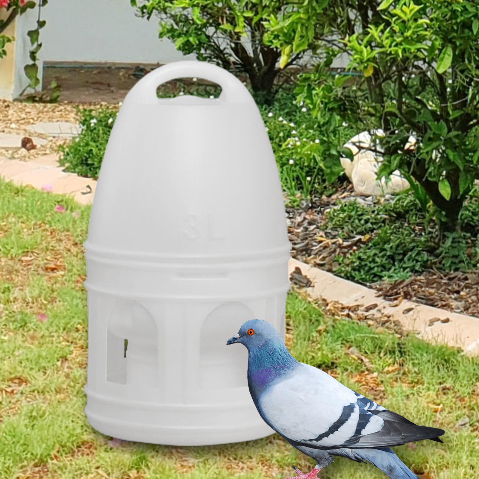 Automatic Pigeon Feeder Bird Cage Waterer Drinker Large Water Dispenser,  4pcs - On Sale - Bed Bath & Beyond - 38944558