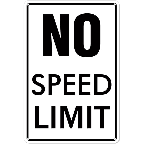 Street Signs Room Decor Vintage Road Signs with NO SPEED LIMIT- Aesthetic Metal Signs for Garage Bedroom Car Room, Room Decor 8x12inch