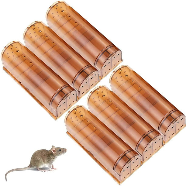 6 Piege a Souris avec Colle pour Souris e Rats Super Adhesif Plus