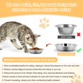 thumbnail image 4 of Cuenco para gatos MicoSim, de acero inoxidable, poco profundo, 5 unidades, para comida y agua, 4 of 8