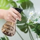 thumbnail image 1 of Botella rociadora de riego | Rociador de jardinería, acero inoxidable, fácil de limpiar, ligero, ideal para jardineros, plantas de interior, mascotas y cuidado de, 1 of 9