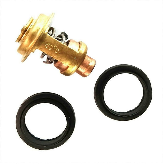 5005440 Brass Thermostat & Seals Kit for Johnson Evinrude