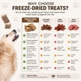thumbnail image 5 of Bern's Farm Freeze Dried Raw Just Duck Dog & Cat Treats (Single-Ingredient, 2oz bag) Highly Nutritious, Biologically Appropriate Snack for Pets, 5 of 7
