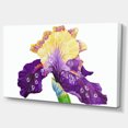 thumbnail image 2 of Iris Bleu Jaune en Fleurs - Impression sur Toile Florale, 2 of 3