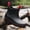 Black&Red, variant on Men’s Waterproof Slip-Resistant Ankle Rain Boots for Fishing, Gardening & Outdoor Work, Lightweight Comfort Rubber Boots up to US 13.5 / EU 50