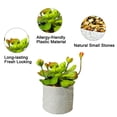 thumbnail image 3 of Simulación de plantas suculentas en macetas, estructura triangular de hierro, macetas de melamina, adornos creativos, plantas verdes artificiales, 3 of 5