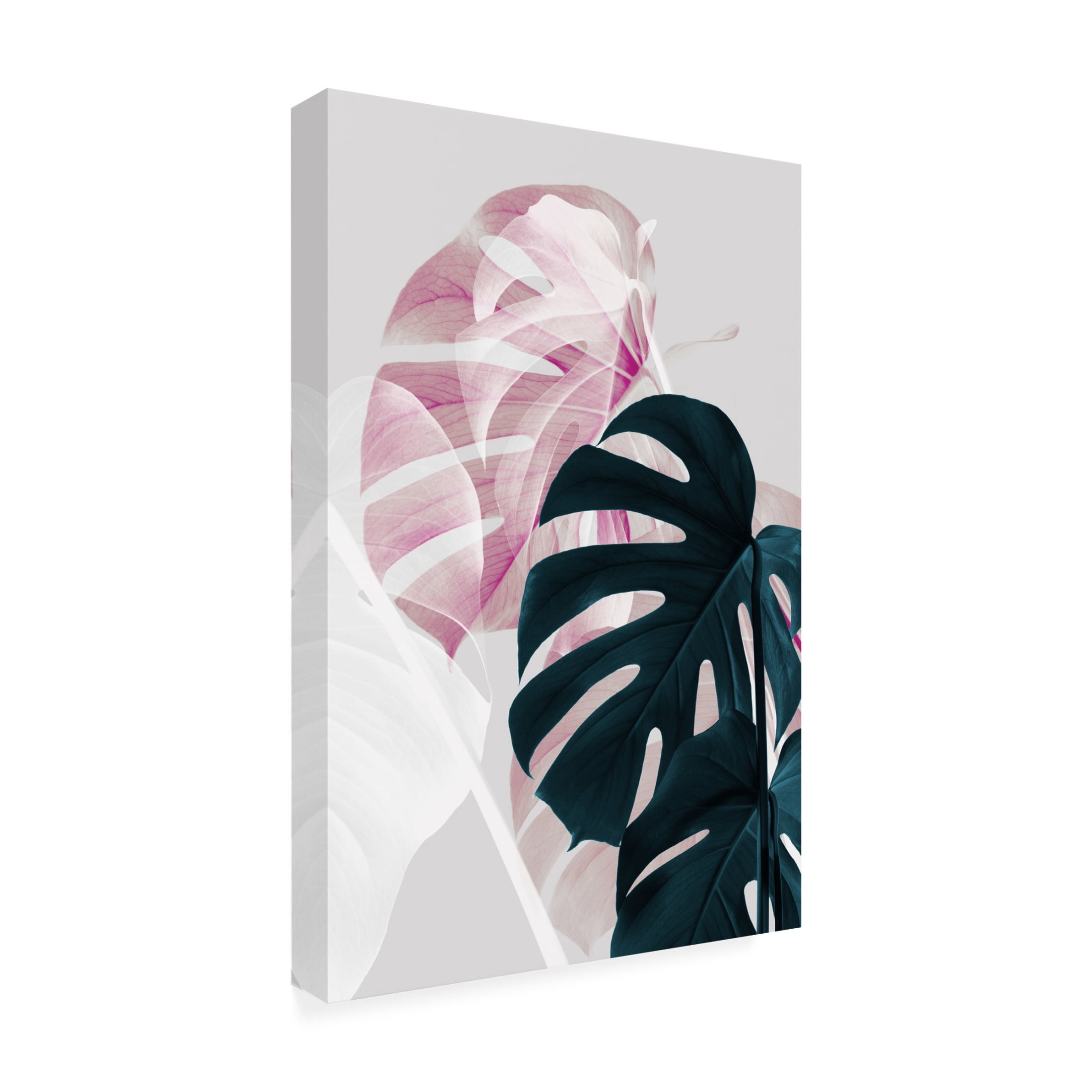 Trademark Fine Art Pictufy Studio Monstera Creative 08 Canvas Wall Art