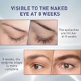 thumbnail image 3 of Natural Eyelash Eyebrow Growth Serum Fast Grow Eyelash Eyebrows Essential Oil Eyebrow Growing Thick Care, 3 of 4