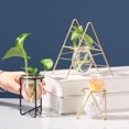 thumbnail image 2 of FAROOT Glass Vase, Transparent Hydroponics Vase Bottle Glass Planter, 2 of 5