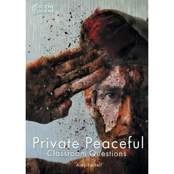 Private Peaceful Classroom Questions (Paperback) by Professor Amy Farrell