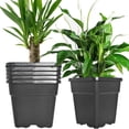 thumbnail image 1 of Plant Container Square Nursery Pots Fit for Seeds Germination, Seedlings Growing, Succulents Planting, Seeds Starting, Black, 1 of 8