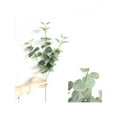 thumbnail image 2 of Topumt Eucalyptus Money Leaf Simulation Green Plant Home Decor, 2 of 5