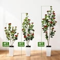 thumbnail image 3 of Arbre de Camélia en Caoutchouc Artificiel Réaliste – Fleurs Rouges au Toucher Réaliste – Plante Décorative Factice dans un Cache-Pot Blanc – Verdure Intérieure à Faible Entretien pour la Maison, le Bureau – 150 cm, Blanc, 3 of 8