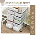 thumbnail image 6 of Resenkos Filing Cabinet Office Drawers, Office Storage Cabinet,10-Drawer Rolling Storage Cart-Transparent, 6 of 6