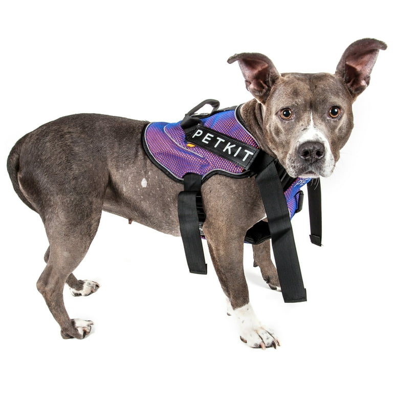 Cushioned dog harness hotsell