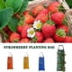 thumbnail image 5 of Bearachild Bolsa para plantar, bolsas colgantes profesionales portátiles para plantas que brillan, contenedor de verduras, accesorios para Jardín y Patio Amarillo, 5 of 6