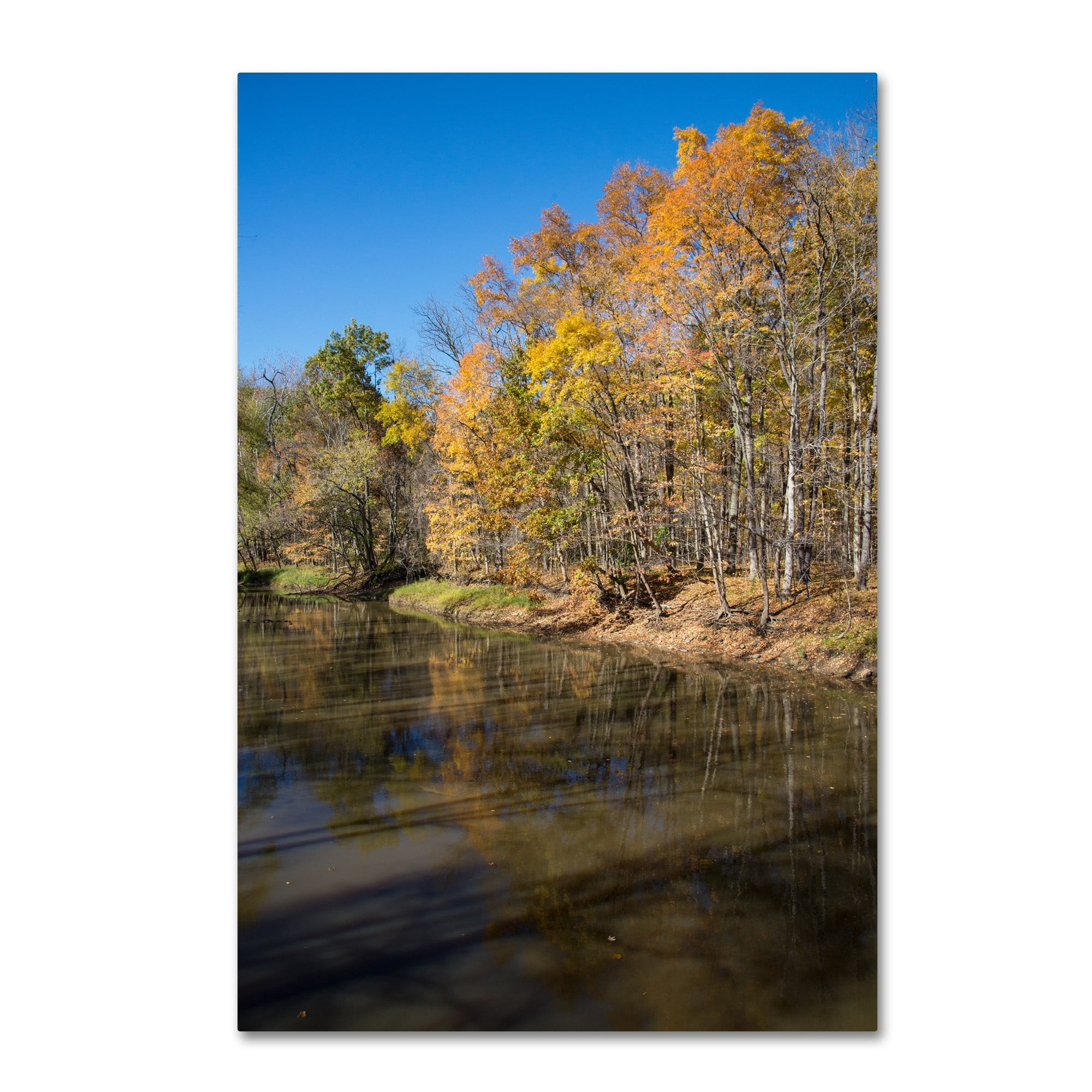 Trademark Fine Art "Vermilion River Autumn" Canvas Art by Kurt Shaffer