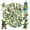2A-35pcs, variant on 35pcs-50pcs Funny Pickle Stickers Cartoon PVC Graffiti Decals for Luggage Notebooks Guitar