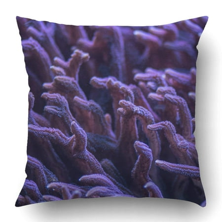ARTJIA Birdnest Sps Corals In Reef Tank With Blue Led Lights Pillowcase Pillow Cushion Cover 16x16