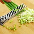 thumbnail image 4 of Oefntac Multi Layer Stainless Steel Green Onion Scissors Five Blade Seaweed Shredding Cooking Kitchen Scissors Herb Cutter Tool, 4 of 8