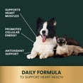 thumbnail image 4 of VetriScience CoQ10 Healthy Heart Capsules for Dogs & Cats, 100 Count, 4 of 6