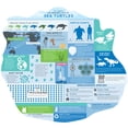 thumbnail image 4 of Paper House Productions InfoPuzzle Double Sided All About Sea Turtles Die Cut, Shaped Learning Jigsaw Puzzle, 4 of 5
