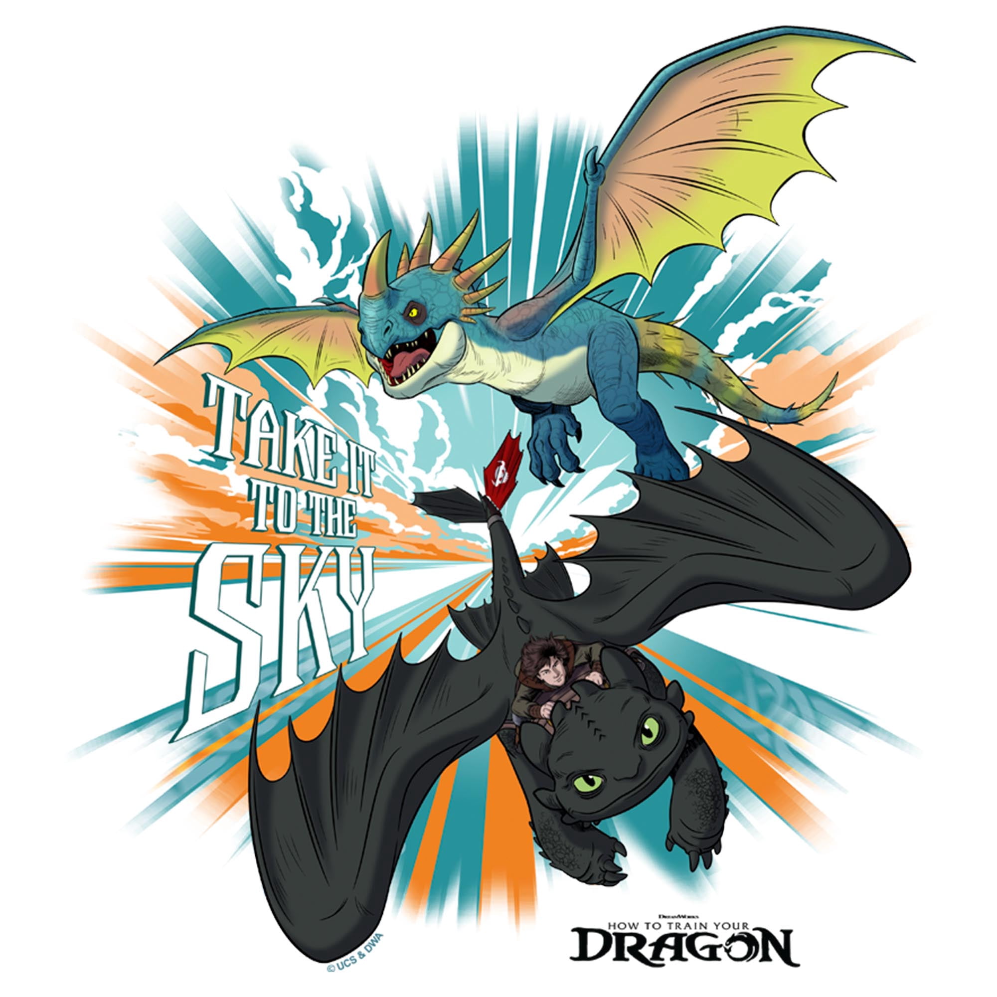 Mens How to Train Your Dragon Take It To The Sky T Shirt