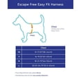 thumbnail image 2 of Gooby - Arnés de fácil Ajuste sin Escape, arnés para Perros pequeños Que Les Gusta Escapar de su arnés, Turquesa, pequeño, 2 of 5