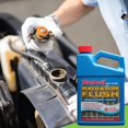 BlueDevil Products 00204 Radiator Flush 1 Quart