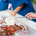 thumbnail image 5 of Easy To Pick Up Dont Harm Your Fish Fish Net Provides A Caring Experience For Fish Adjustment Of Length Suitable For More Usage Scenarios, 5 of 5