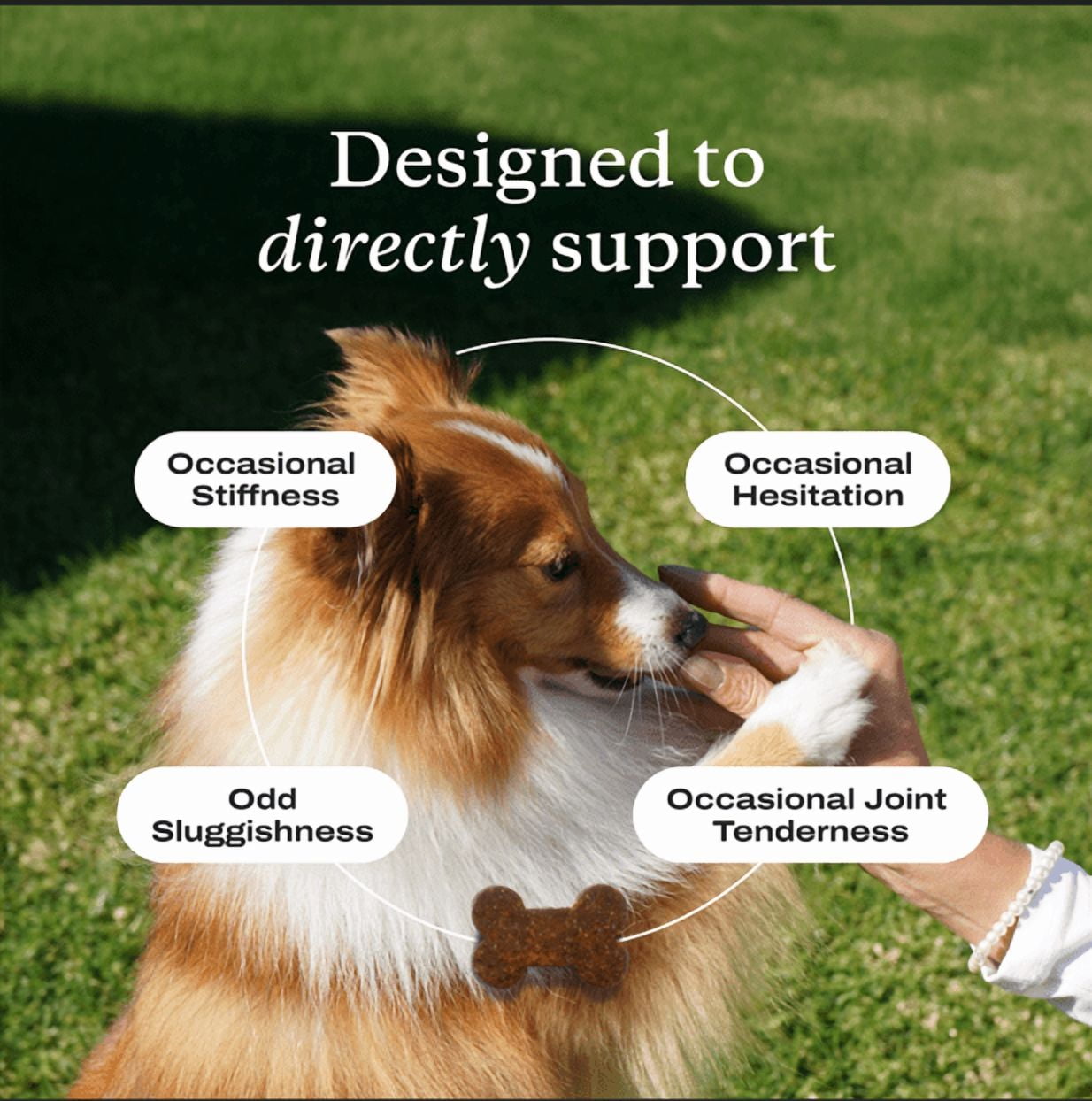 PetLab Co. Joint Care Chew - High Levels of Glucosamine for Dogs - Hip and Joint Supplement to Support Mobility, Pork Flavor,. 30ct