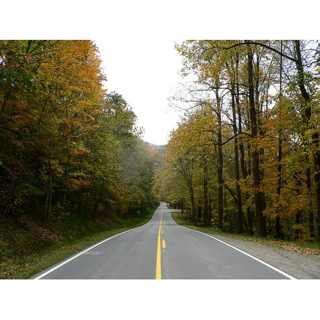 Canvas Print Fall Foliage Country Road Rural Scenic Landscape Stretched Canvas 10 x