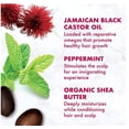 thumbnail image 4 of 3 Pack SheaMoisture Jamaican Black Castor Oil Strengthen & Restore Edge Treatment, 4oz, 4 of 4