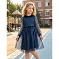 thumbnail image 4 of Sunny Fashion Girls' Long Sheer Sleeve Peter Pan Collar Plaid Mesh Blue Dress (Big Girls), 4 of 8