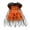 Orange witch, variant on WIBACKER 1-5T Kids Baby Girl Halloween Cosplay Dress with Spider Cloak Witch Fancy Party Costume