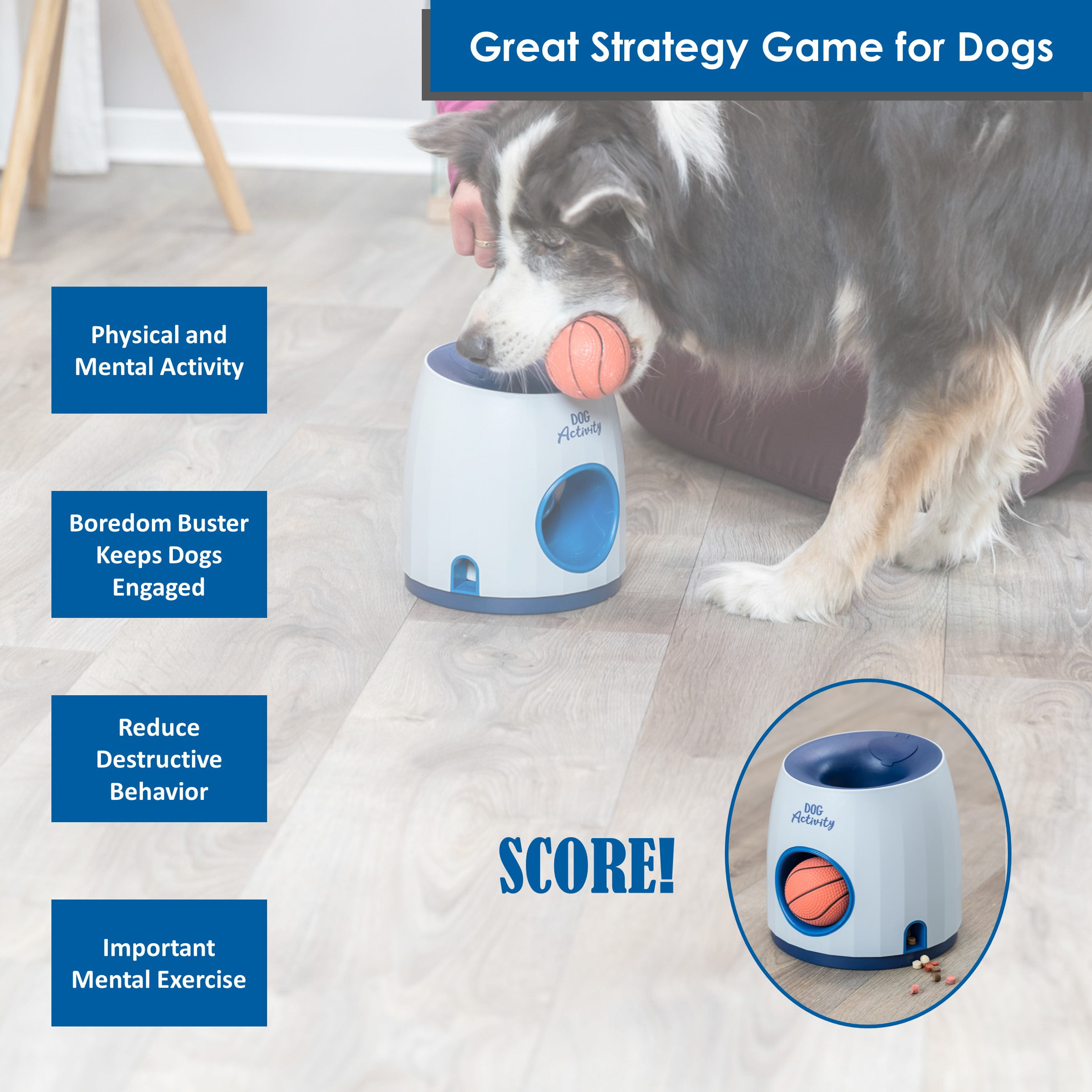Dog Treat Maze Game – Big Dog Energy Company
