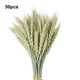 thumbnail image 3 of Ramo seco de flores naturales Inteprter 50 Uds, 3 of 6