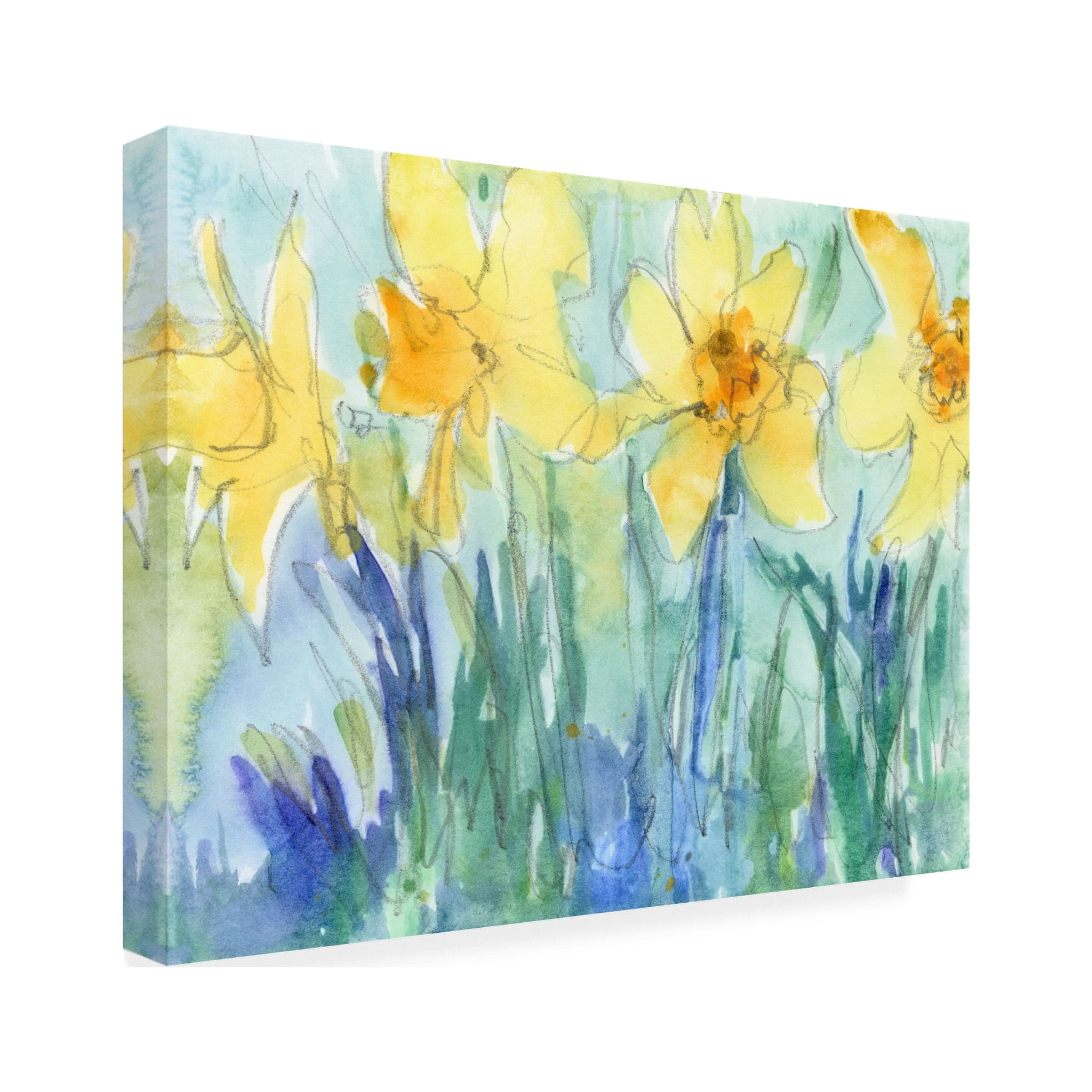 Samuel Dixon 'Daffodil Blooms II' Canvas Art