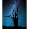 thumbnail image 3 of Allicot, Manu 15x17 Black Modern Framed Museum Art Print Titled - Alone in the dark, 3 of 5