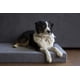 thumbnail image 4 of Memory Foam: Colchón para Perro o Mascotas Ortopédico Chico 70x 50cm, Fácil de Lavar, con la Espuma más Durable Que Ofrece un Descanso Cómodo e Inigualable a tu Mascota, 4 of 7