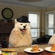 thumbnail image 2 of Sombrero de vaquero para mascotas, para gatos y perros, decoración para fiestas, 2 of 8