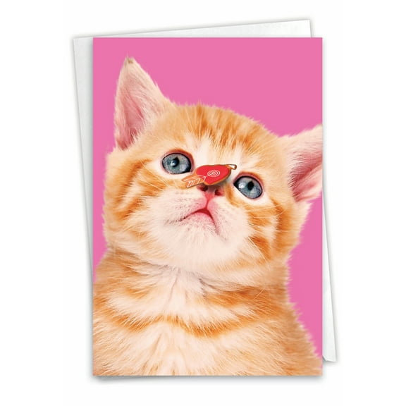 NobleWorks Miss You Greeting Card with 5 x 7 Inch Envelope (1 Card) Thinking of You, Just Because Heart Cats C9266GMYG