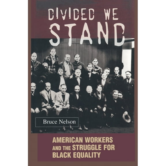Politics and Society in Modern America Divided We Stand: American Workers and the Struggle for Black Equality, Book 12, (Paperback)