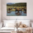 thumbnail image 2 of Elephant Stock Buffalo Crossing Wall Art - Horizontal Canvas Wall Art - Living Room Wall Decor - Animal Canvas - Yellow And Brown Decor By Jack Sorenson - 48" x 32", 2 of 8