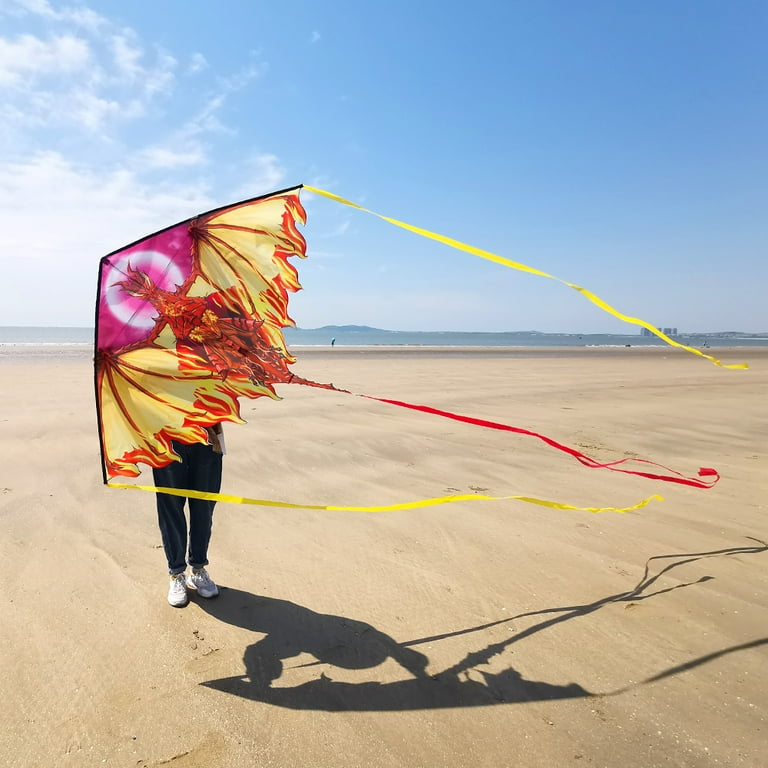 Mint's Colorful Life Dragon Kite for Kids Adults, Easy to Fly Best Delta Beach Kite, 300ft Kite String