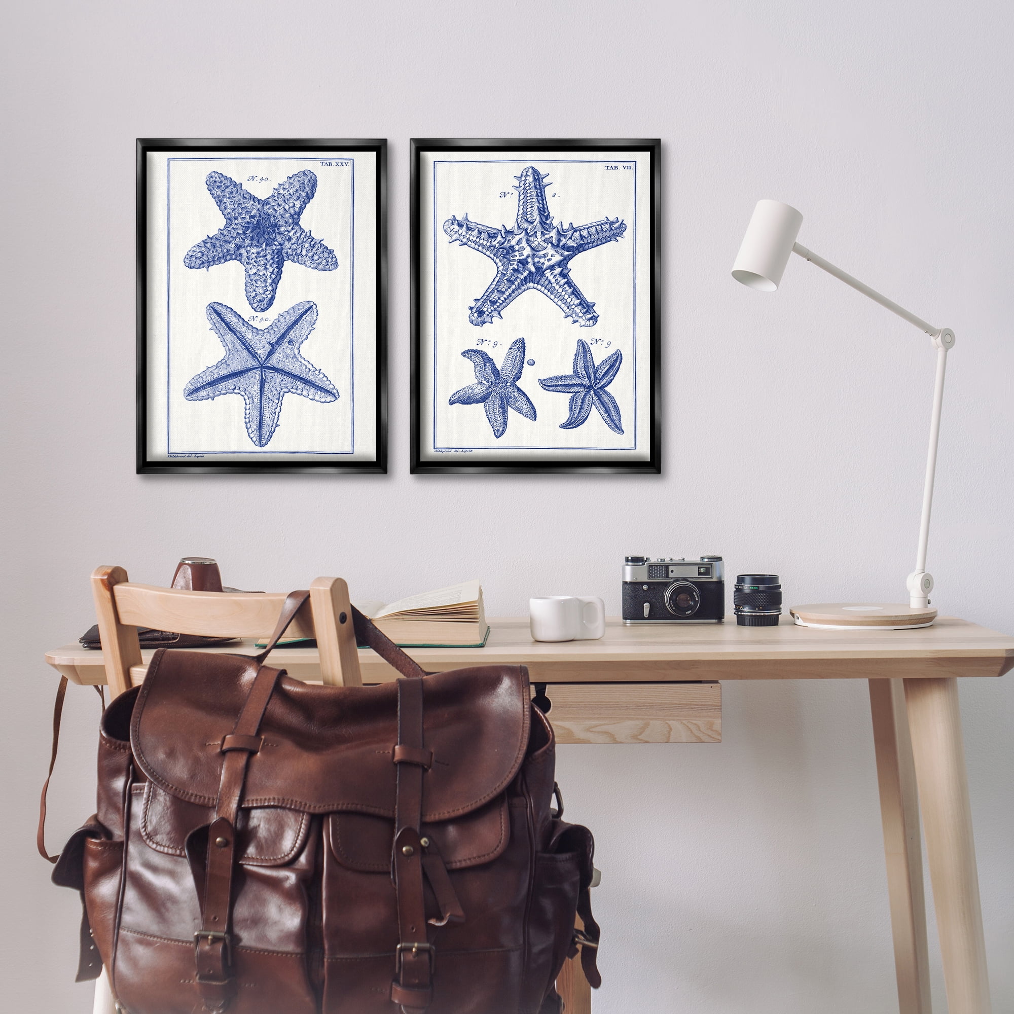 Stupell Industries Diagram of a Starfish Nautical & Beach Painting Black Floater Framed Canvas Art Print Wall Art, 17 x 25, Set of 2
