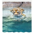thumbnail image 2 of Ambesonne Savannah Shower Curtain, Bengal Tiger in the Wild, 69"Wx75"L, Mustard Cream Teal, 2 of 4