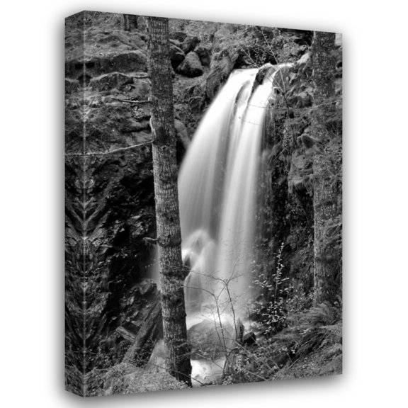 Brian Moore 13x18 Gallery Wrapped Canvas Wall Art Titled - Waterfall I