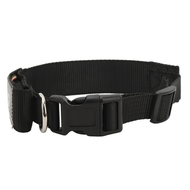 Collar LED Programable Con Conexión Móvil De Bucle, Luz Intermitente De Seguridad Para Perros De Mascota Recargable De Un Color De Alta Visibilidad En El Cuello